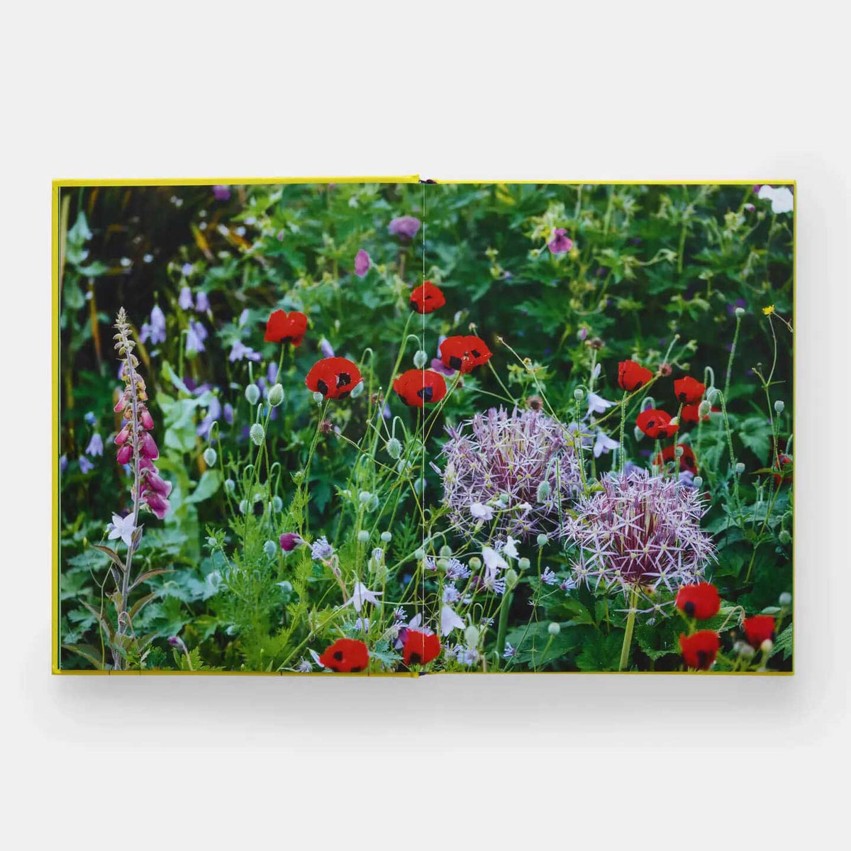 A Year in Bloom: Flowering Bulbs For Gardeners Handbook