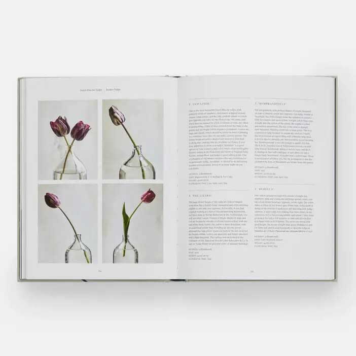 The Vegetarian Silver Spoon: Contemporary Italian Recipe Book