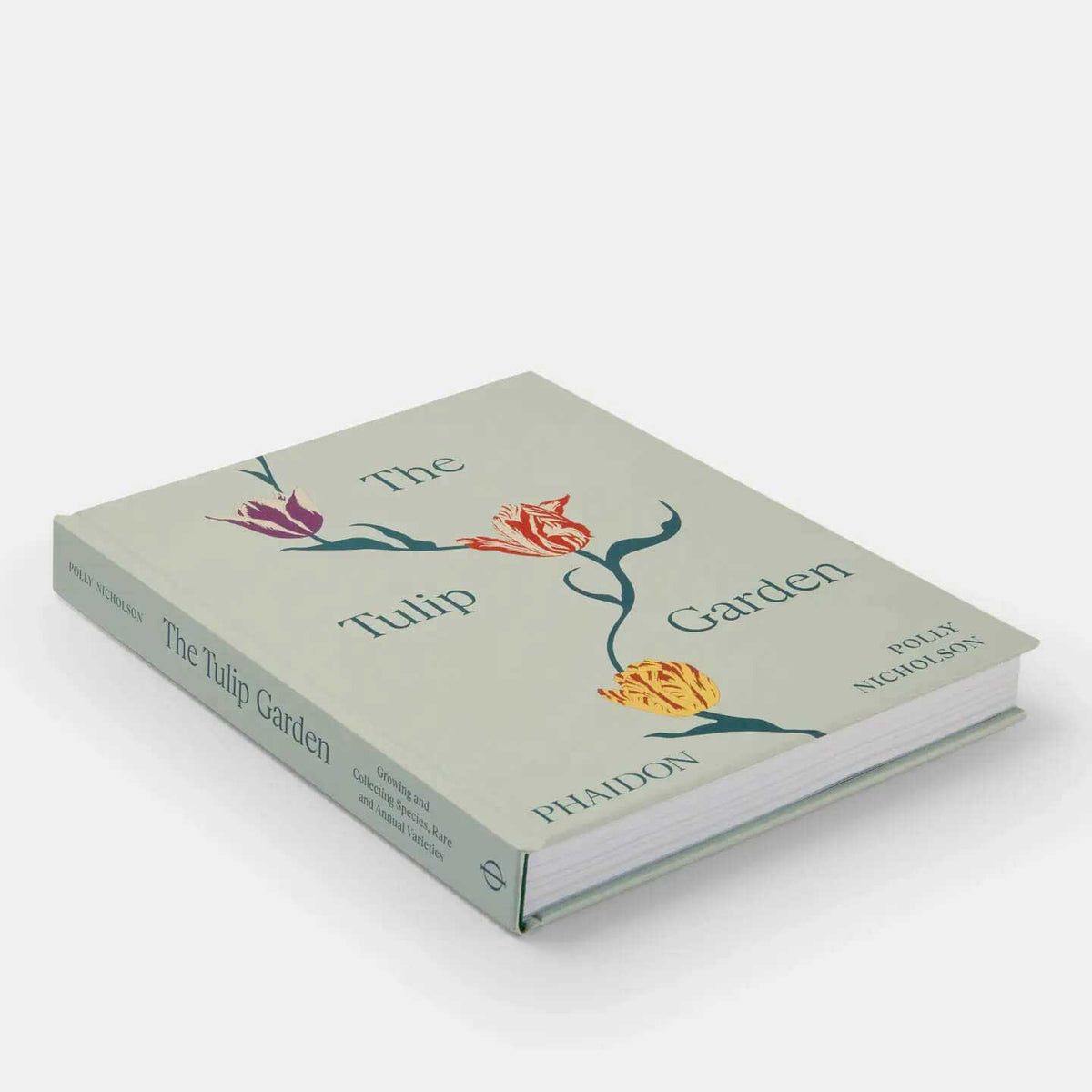 The Vegetarian Silver Spoon: Contemporary Italian Recipe Book