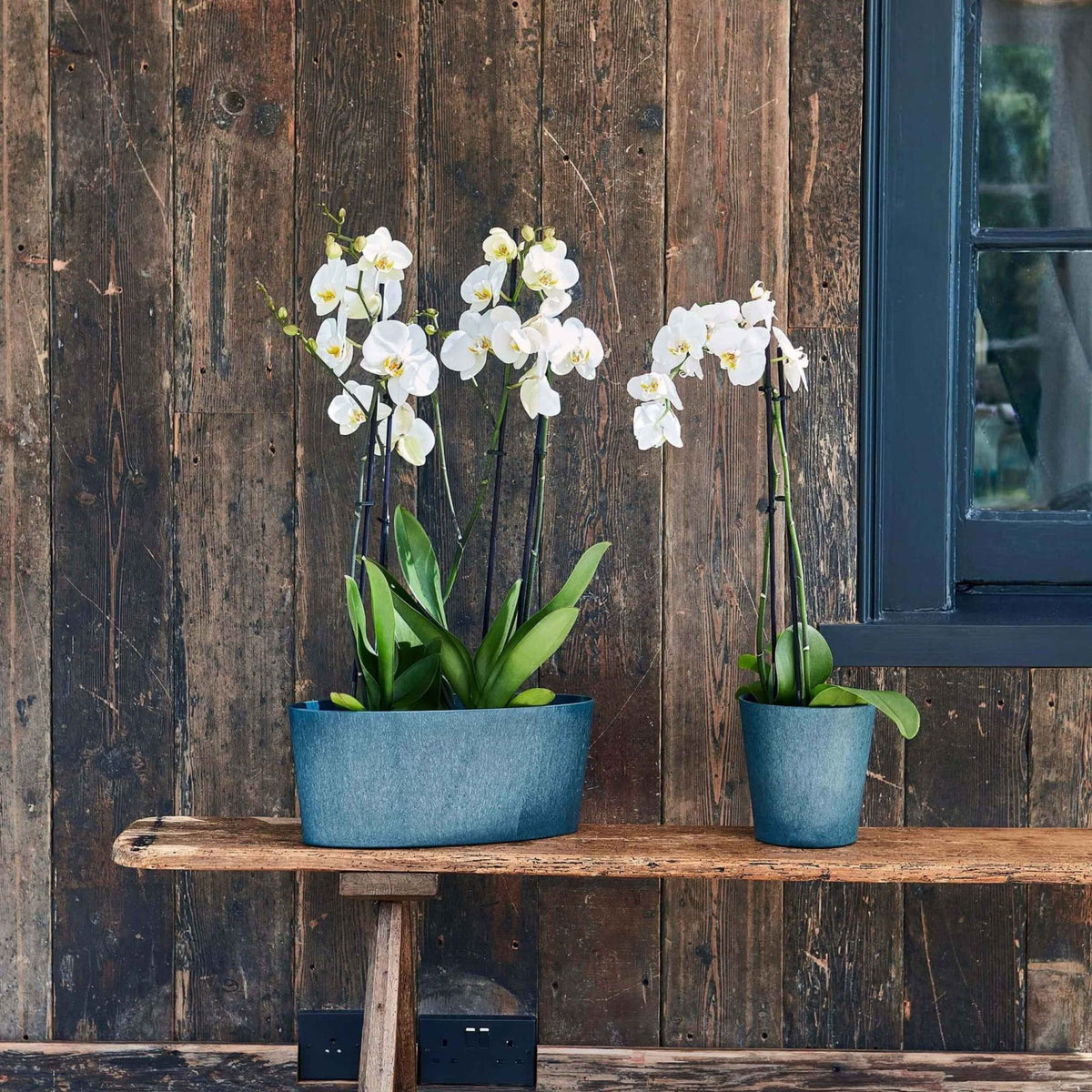 Pula Recyclable Trio Planter