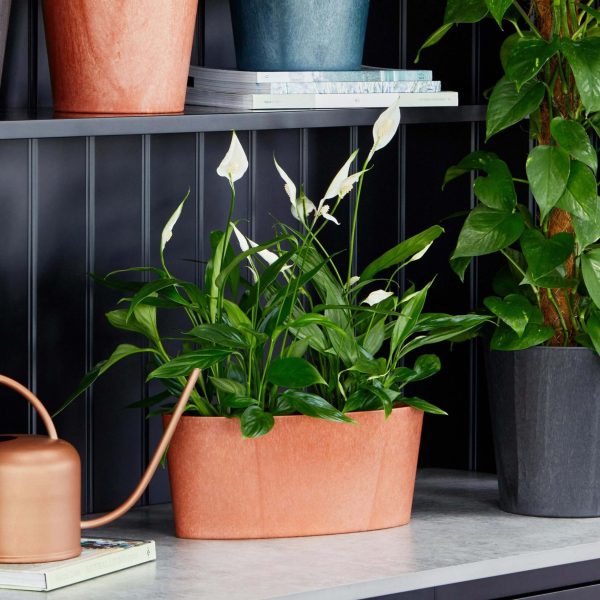 Pula Recyclable Trio Planter