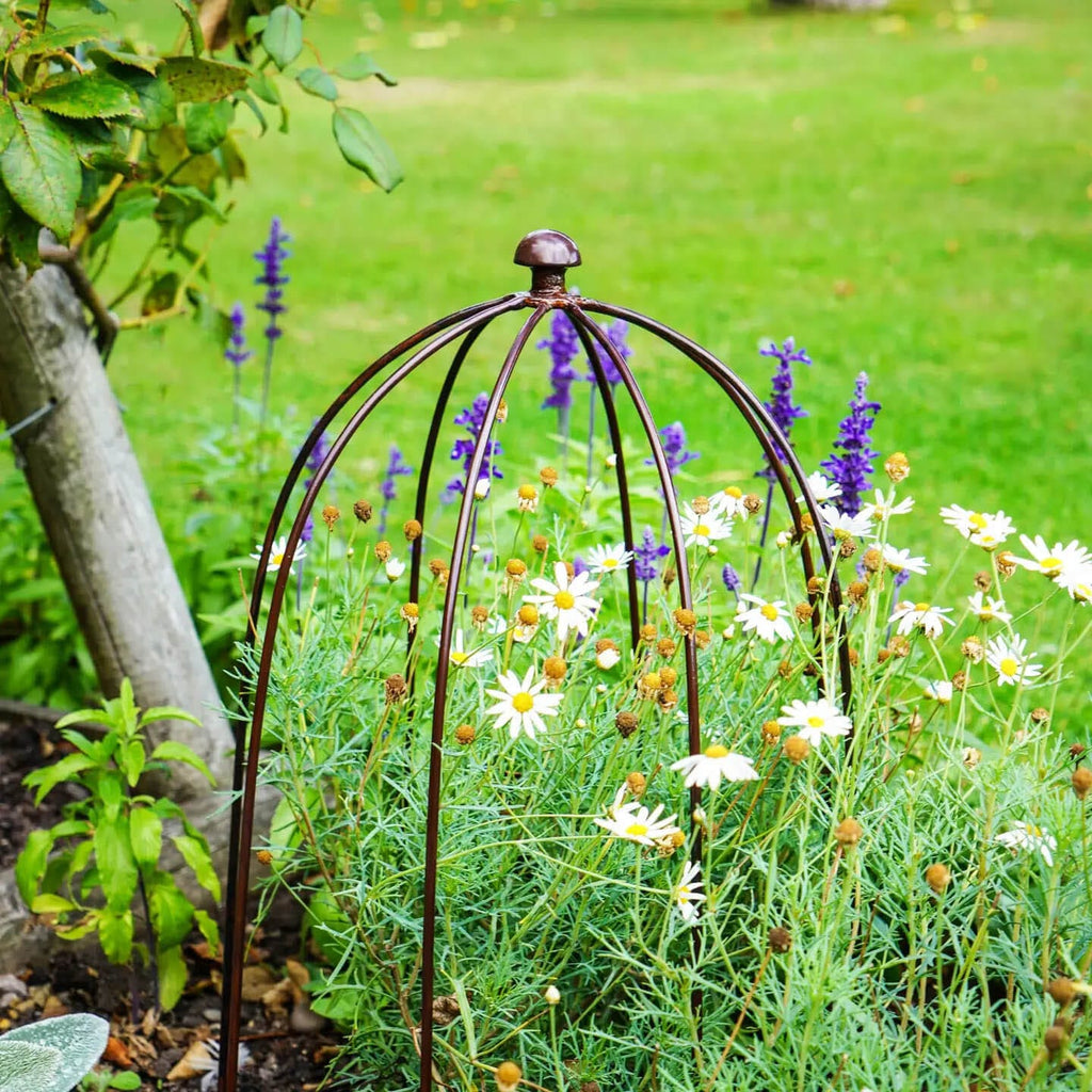 Outdoor Plant Support - 50cm
