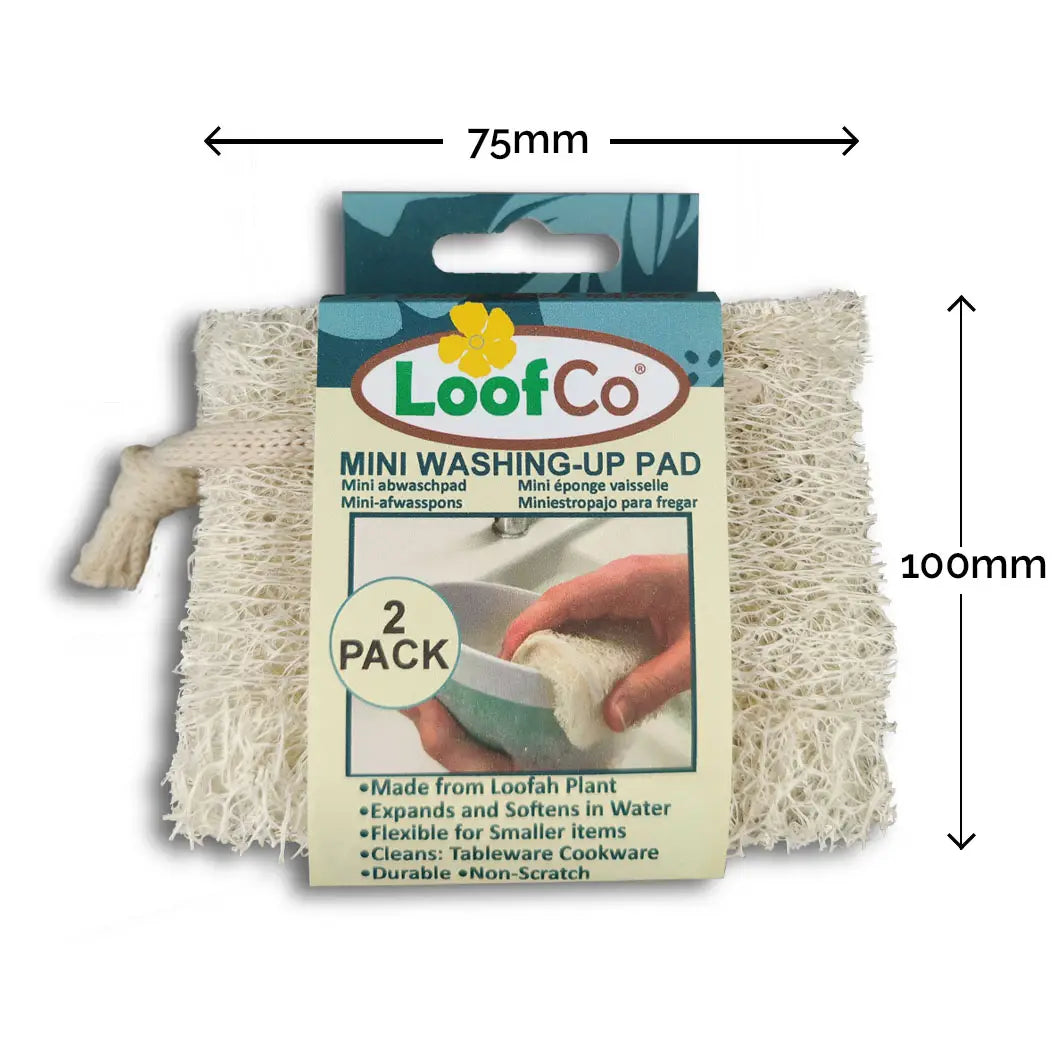 Mini Washing-Up Pad
