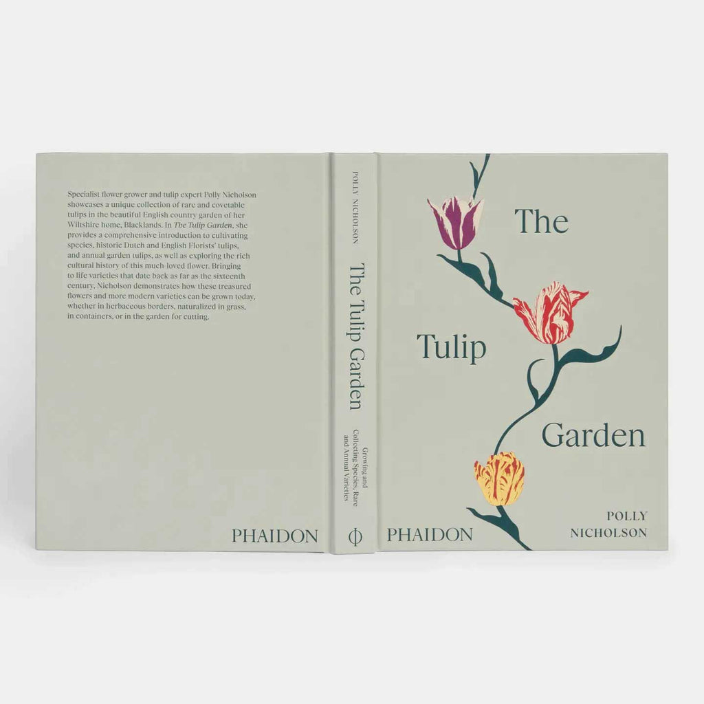 The Vegetarian Silver Spoon: Contemporary Italian Recipe Book