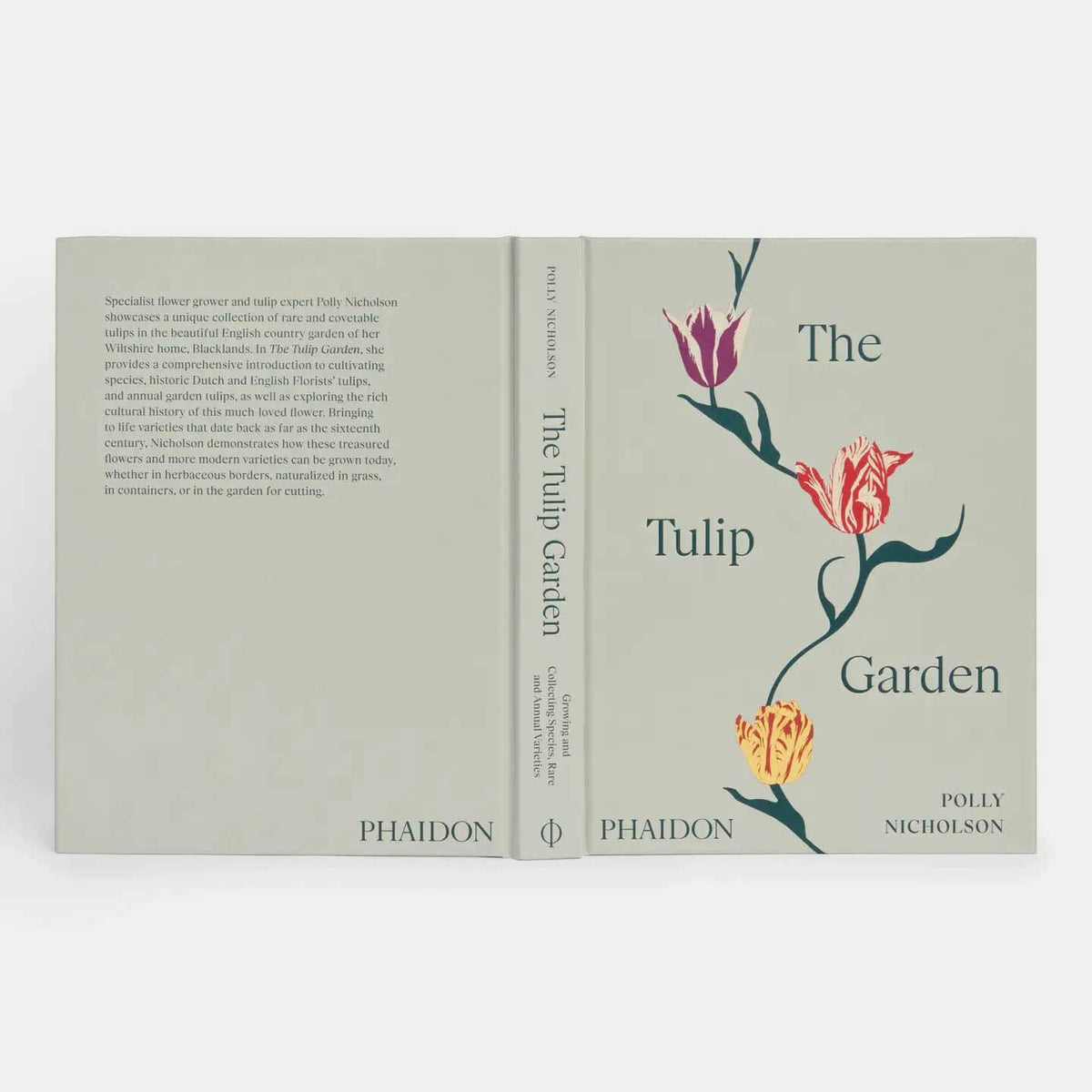The Vegetarian Silver Spoon: Contemporary Italian Recipe Book