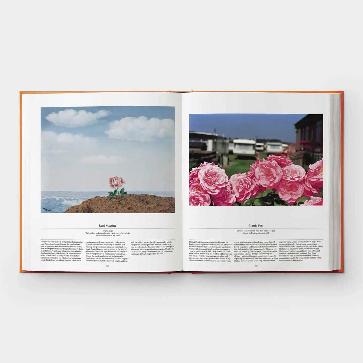 Flower: Exploring the World in Bloom - Flowers Handbook