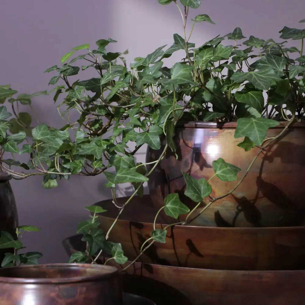 Meraki Gold Metal Bowl