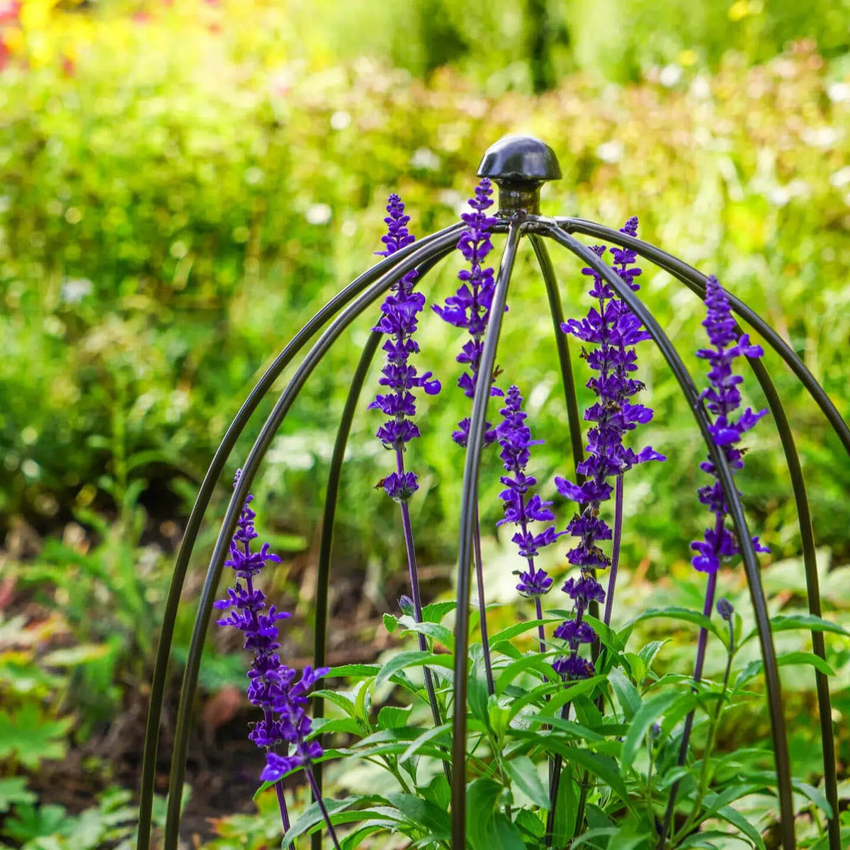 Outdoor Plant Support - 60cm