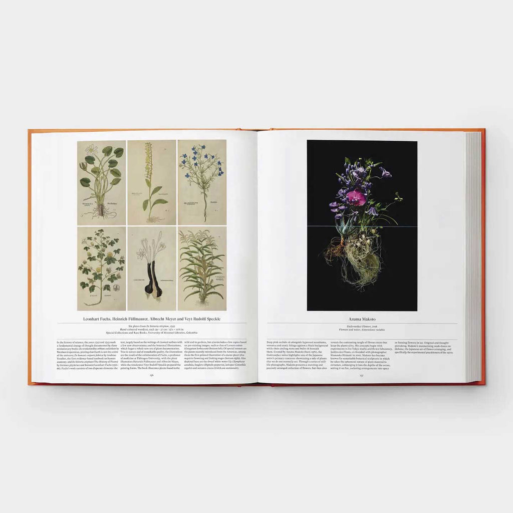 Flower: Exploring the World in Bloom - Flowers Handbook