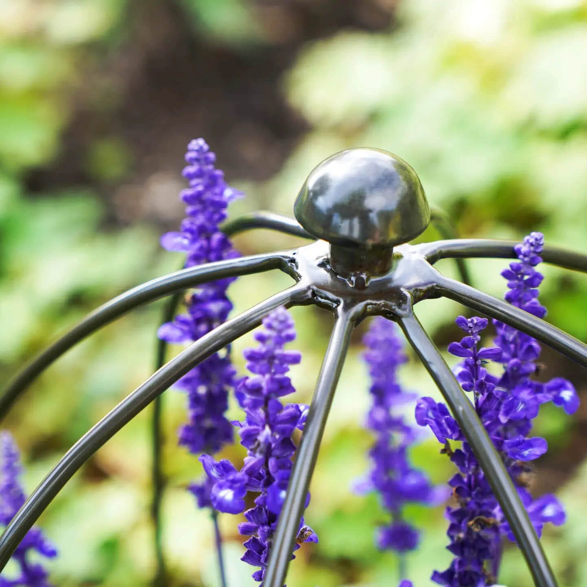 Outdoor Plant Support
