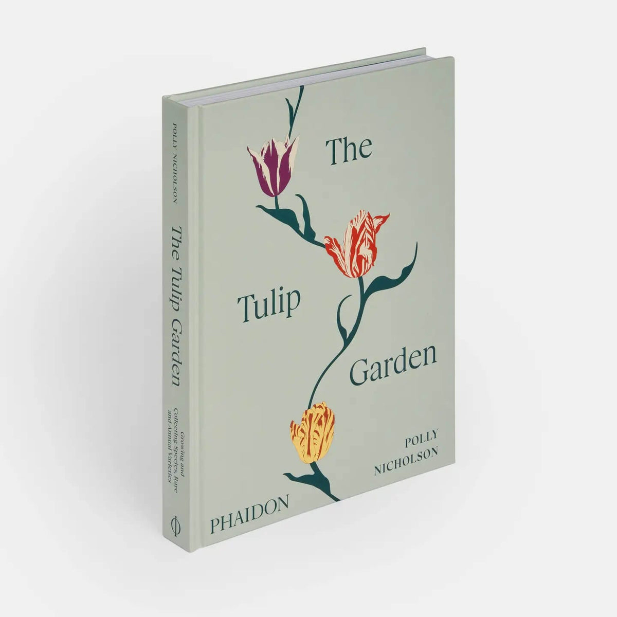 The Vegetarian Silver Spoon: Contemporary Italian Recipe Book
