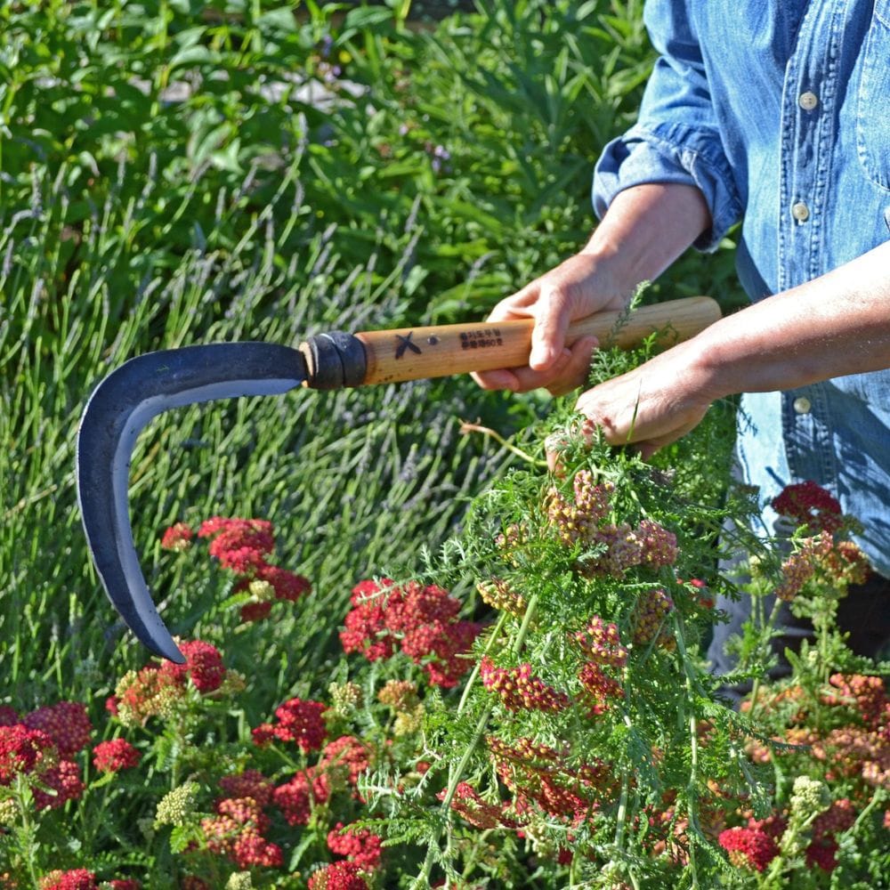 Short Handle Sickle