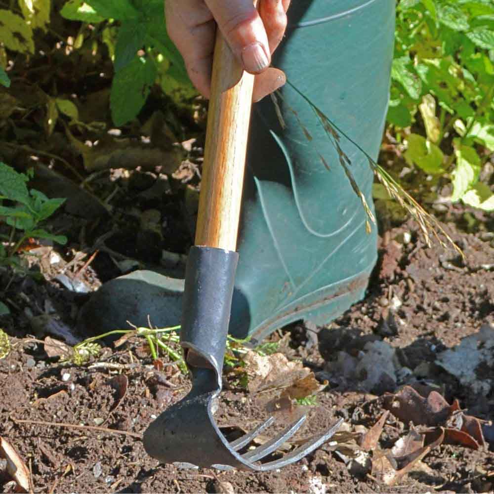 Hand Cultivator 3-Tine