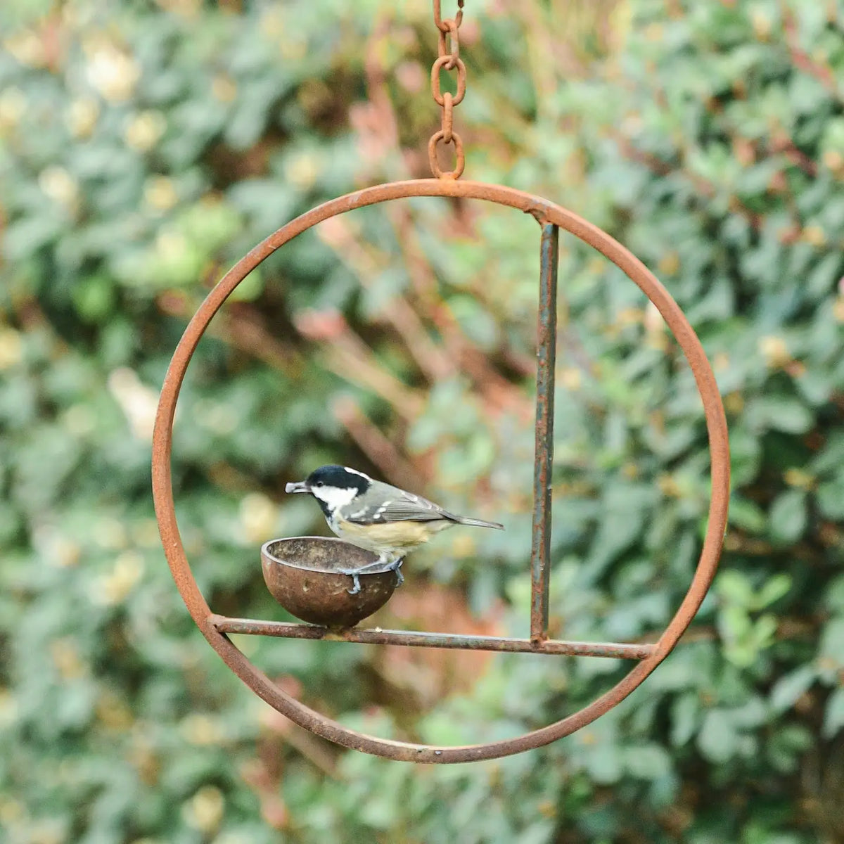 Rusty Metal Abstract Hanging Bird Feeder