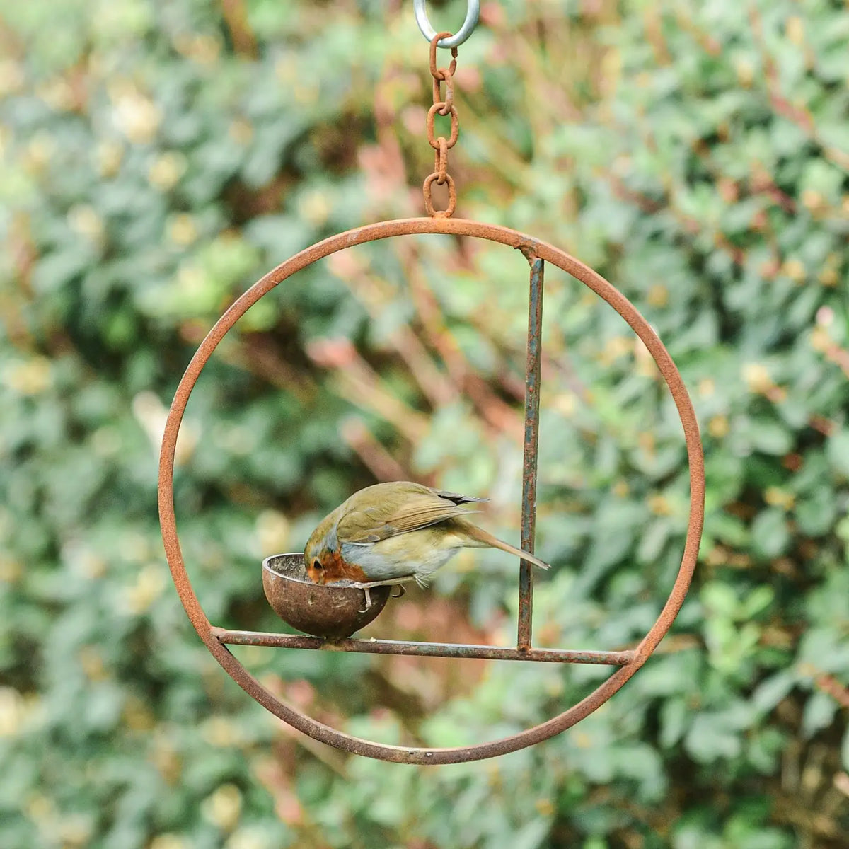 Rusty Metal Abstract Hanging Bird Feeder