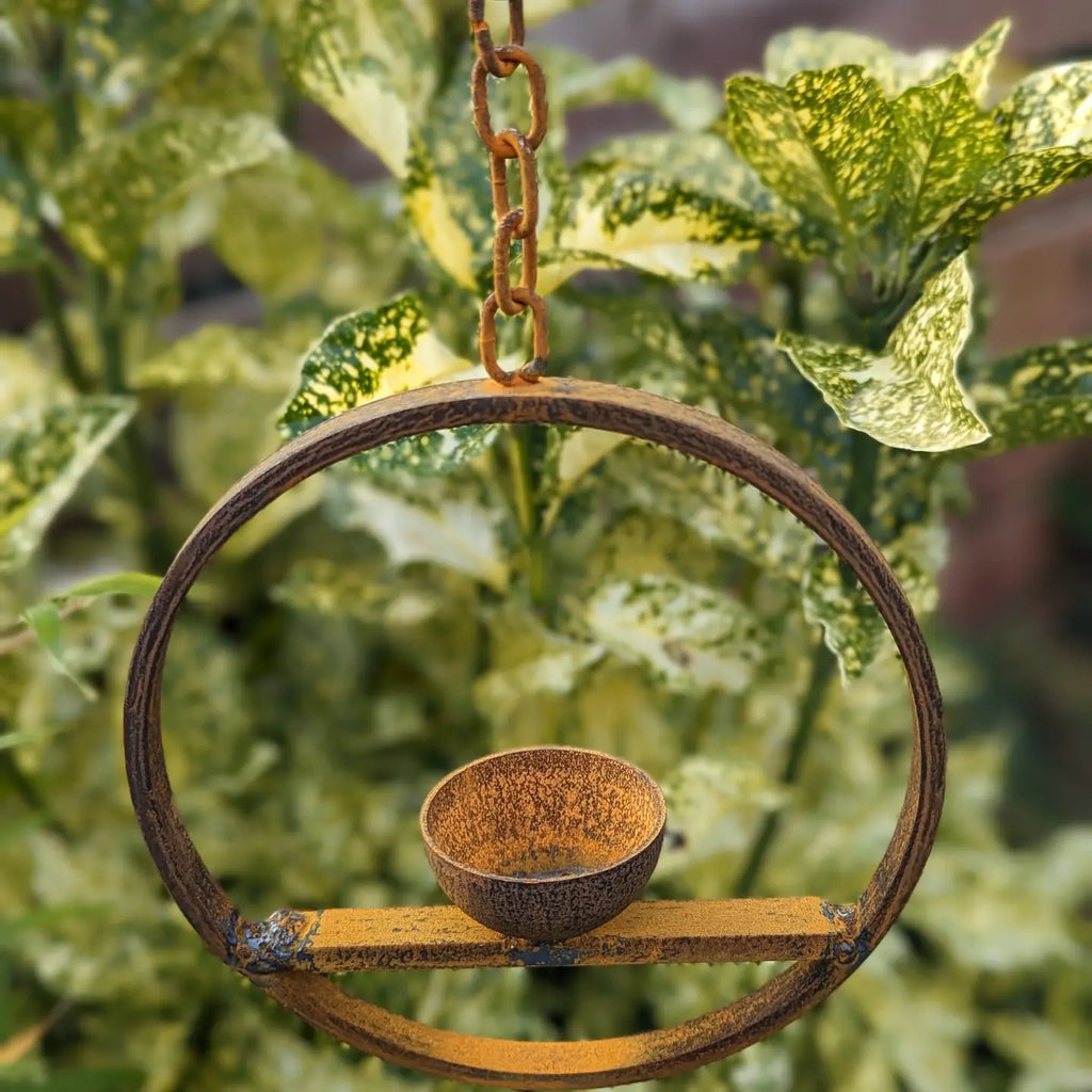 Hanging Bird Feeder