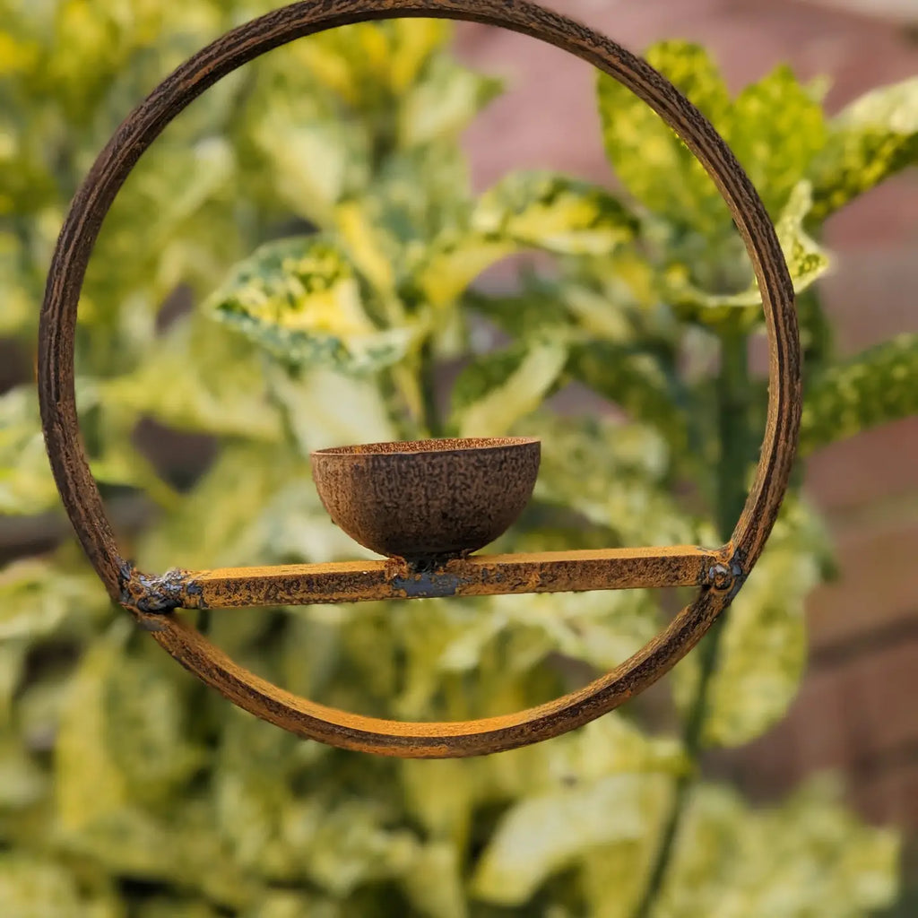 Hanging Bird Feeder