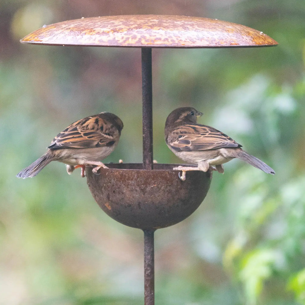 Bird Feeder Stake - Bird Feeding Station