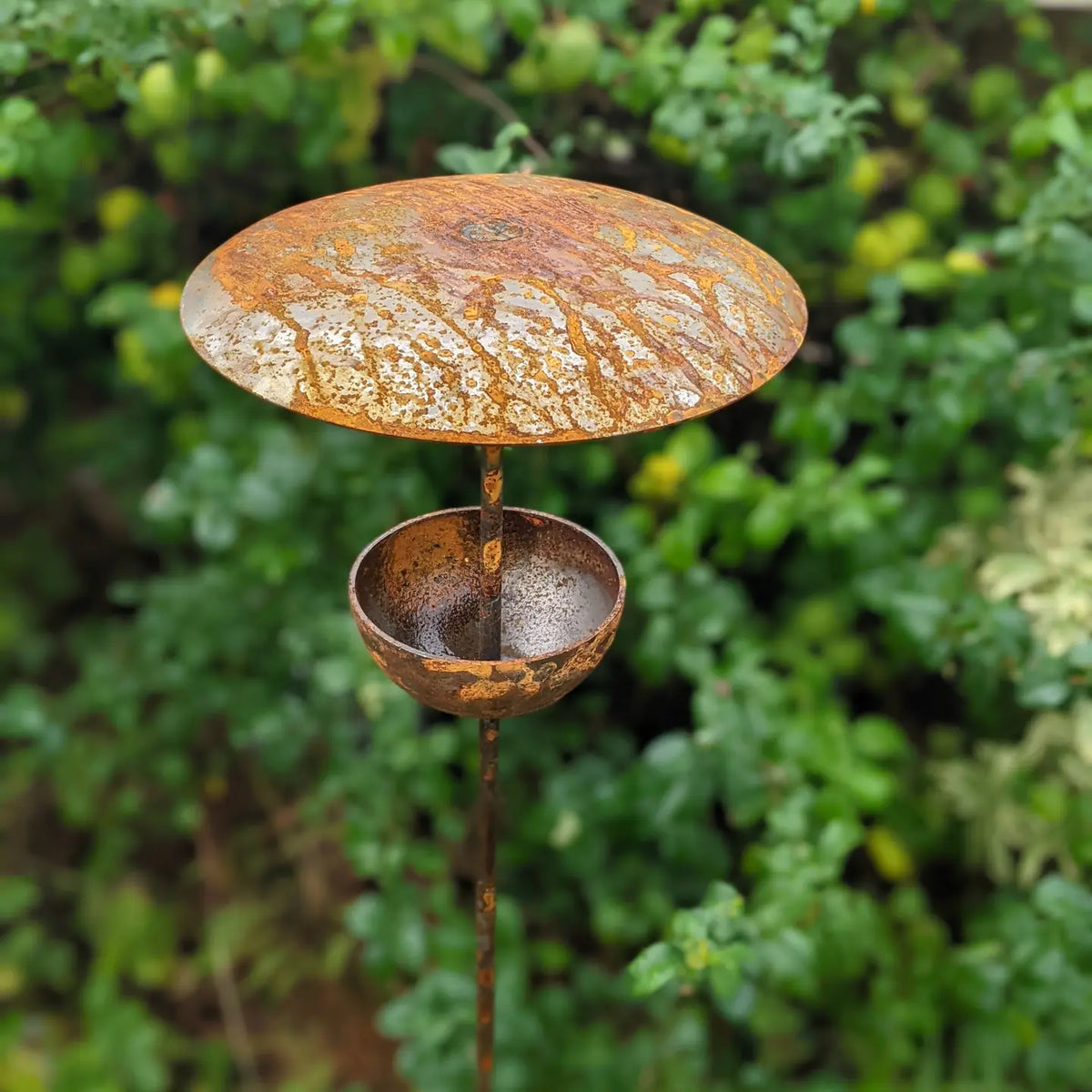Bird Feeder Stake - Bird Feeding Station
