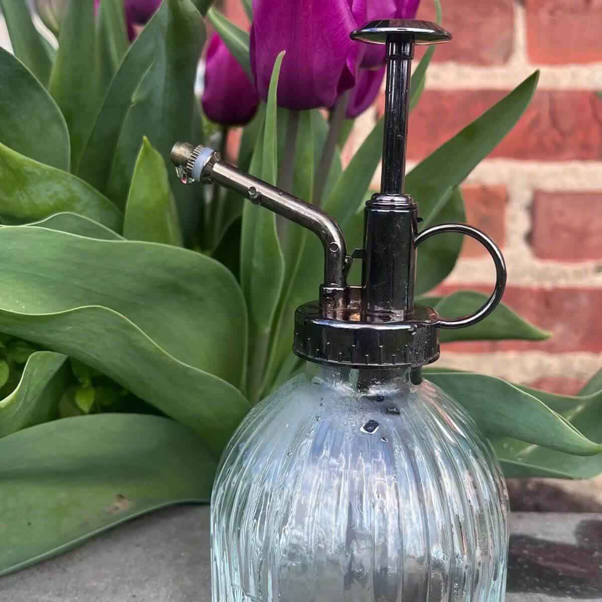 Glass Plant Sprayer