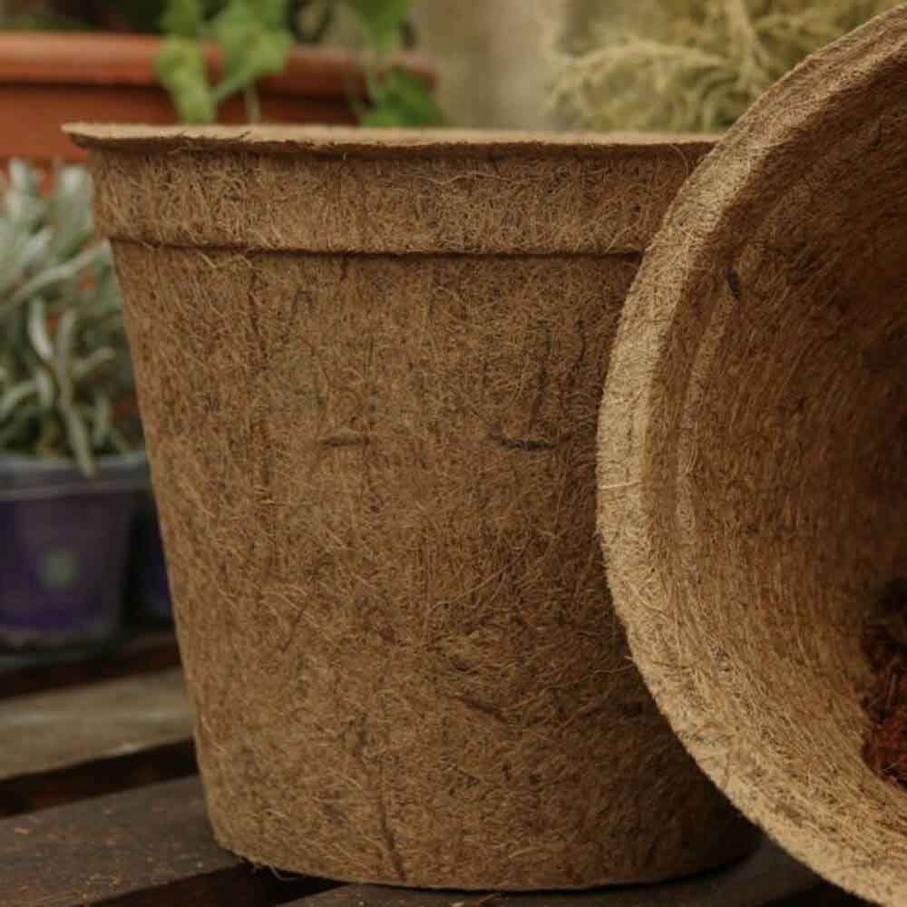 Biodegradable Coir Pot