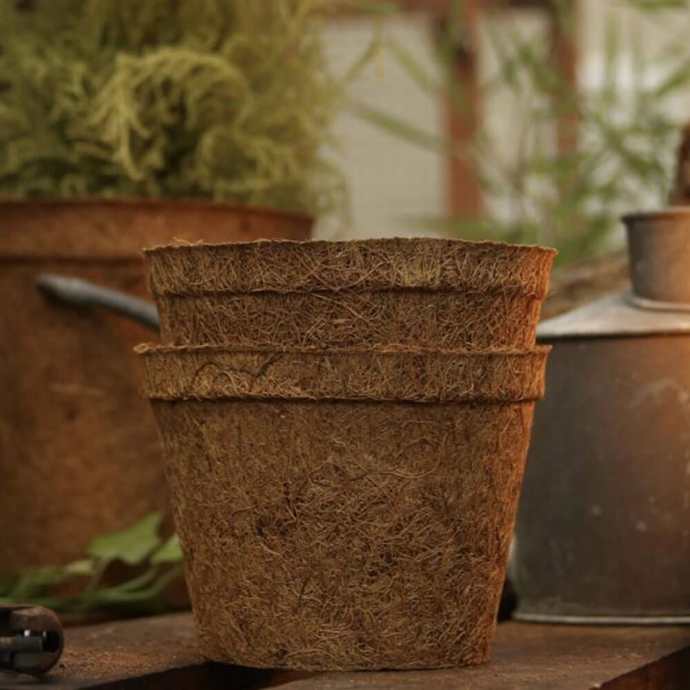 Biodegradable Coir Pot