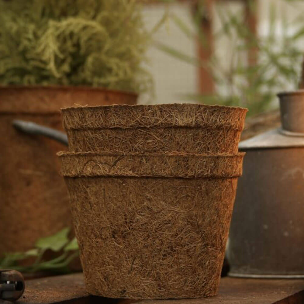 Biodegradable Coir Pot