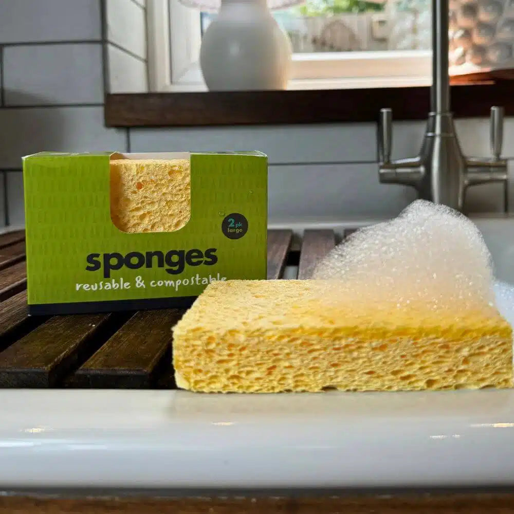 Compostable Sponges x2