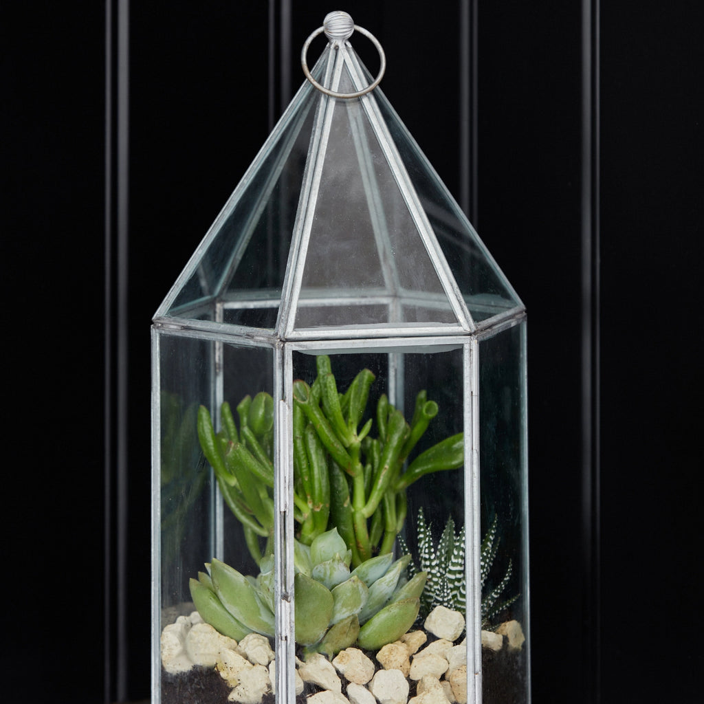 Galvanised Metal & Glass House Terrarium