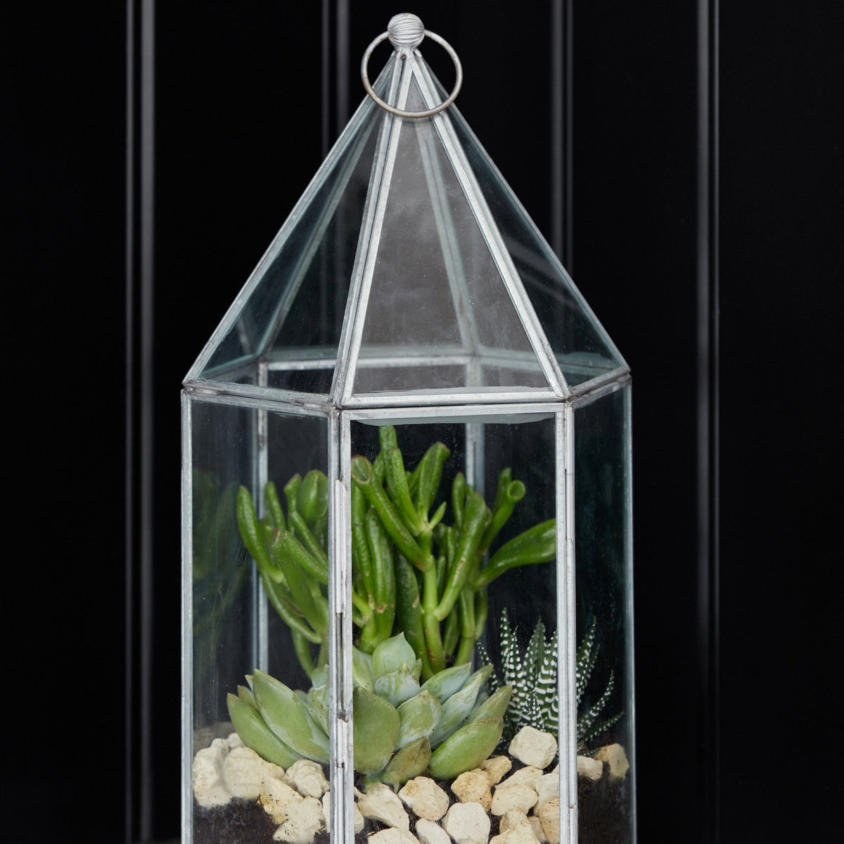 Galvanised Metal & Glass House Terrarium