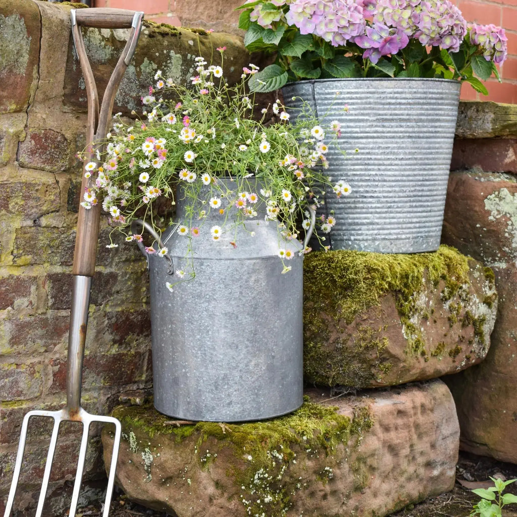 Outdoor Galvanised Milk Churn Planter