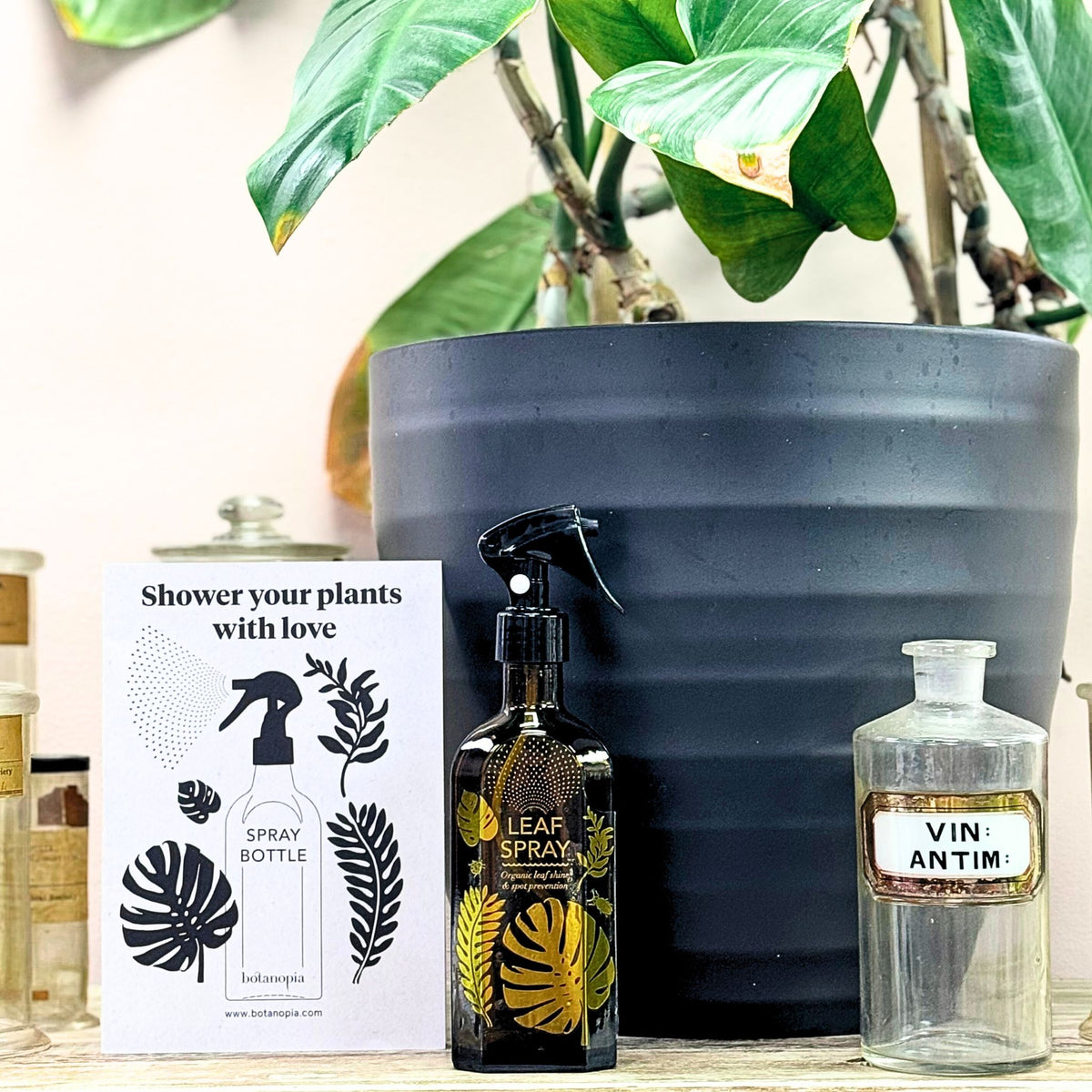 Glass Spray Mister For Your Plants