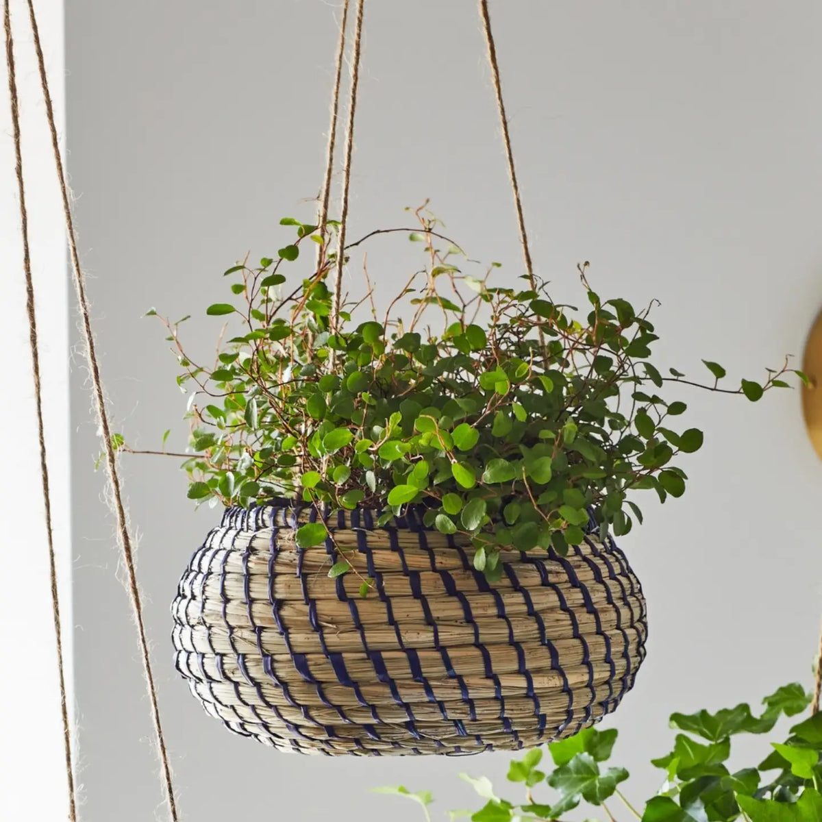 Seagrass Navy Lined Hanging Indoor Planters - Set of 2