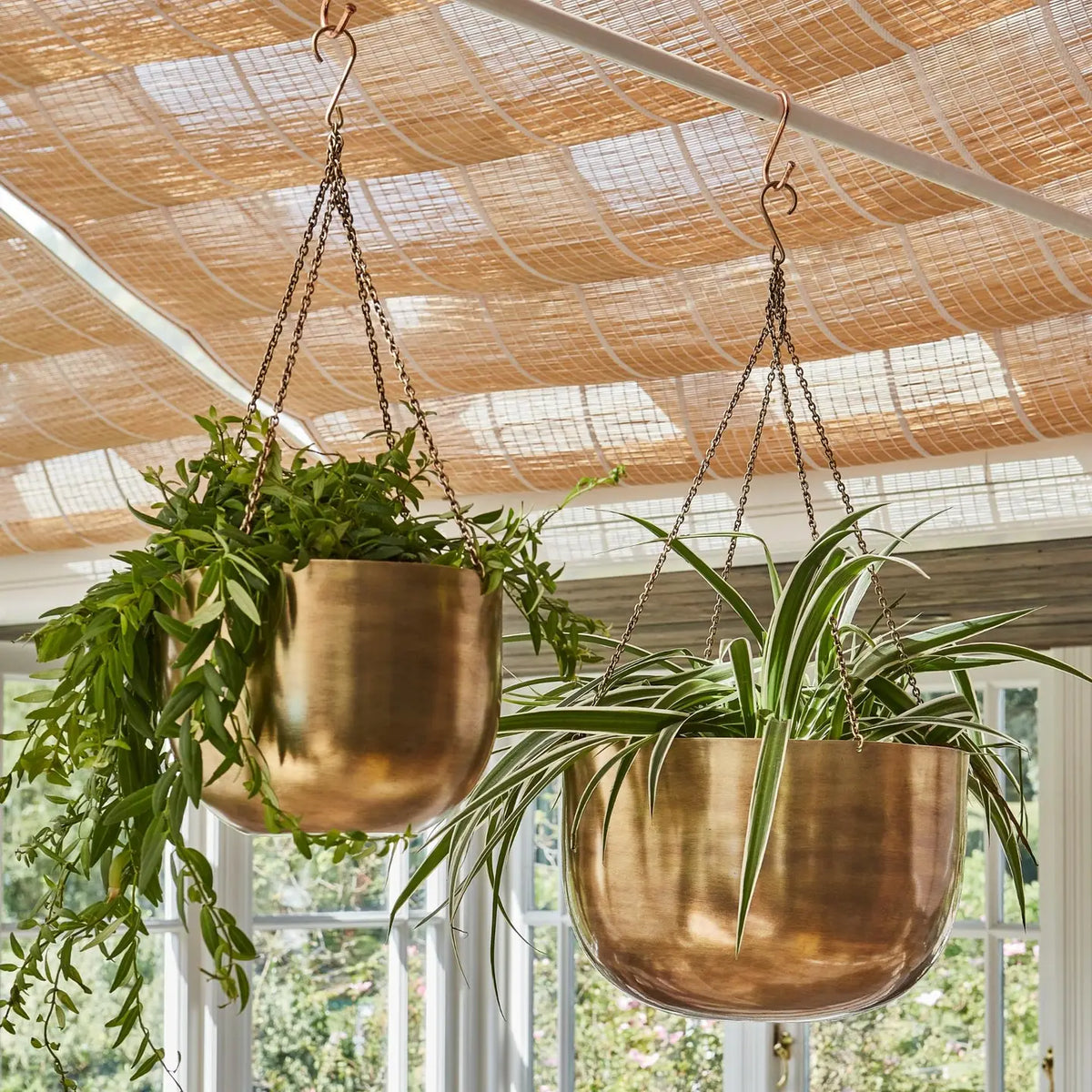Mayfair Antique Brass Effect Metal Hanging Indoor Planter