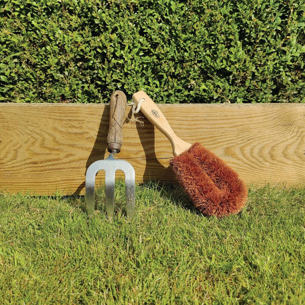 Gardener's Brush | Coconut Fibre & Rubberwood