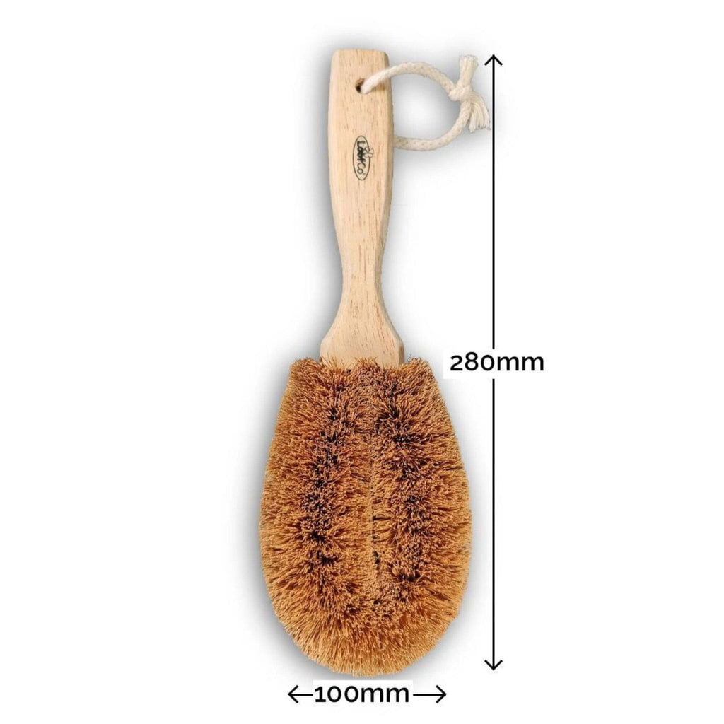 Gardener's Brush | Coconut Fibre & Rubberwood