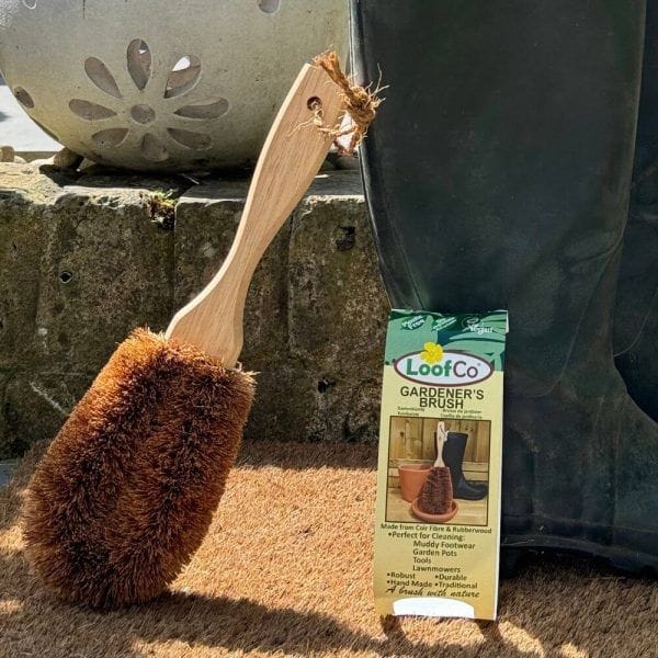 Gardener's Brush | Coconut Fibre & Rubberwood