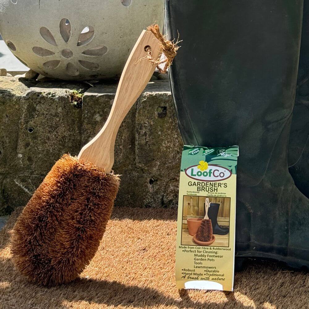 Gardener's Brush | Coconut Fibre & Rubberwood
