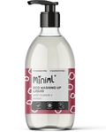 Eco Washing Up Liquid - Apple
