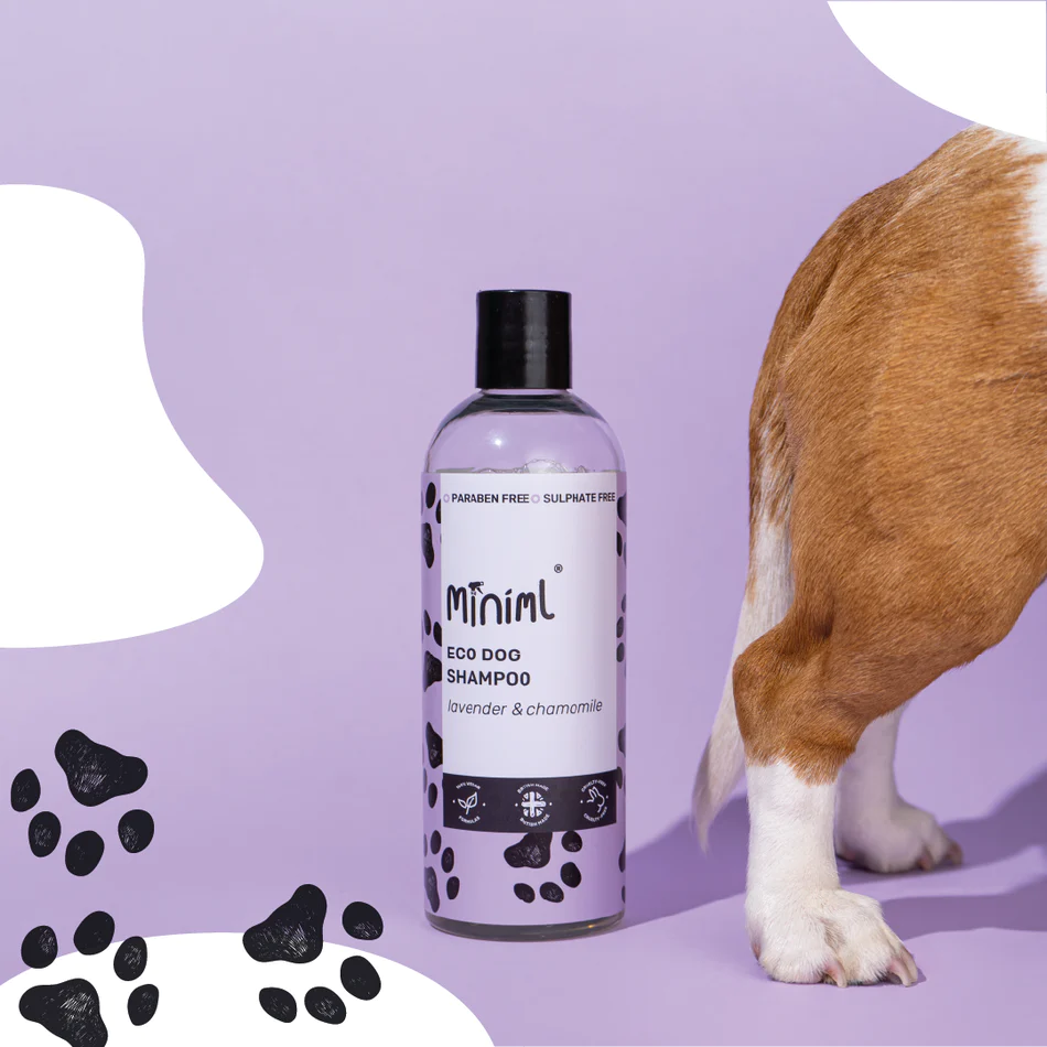 Eco Dog Shampoo
