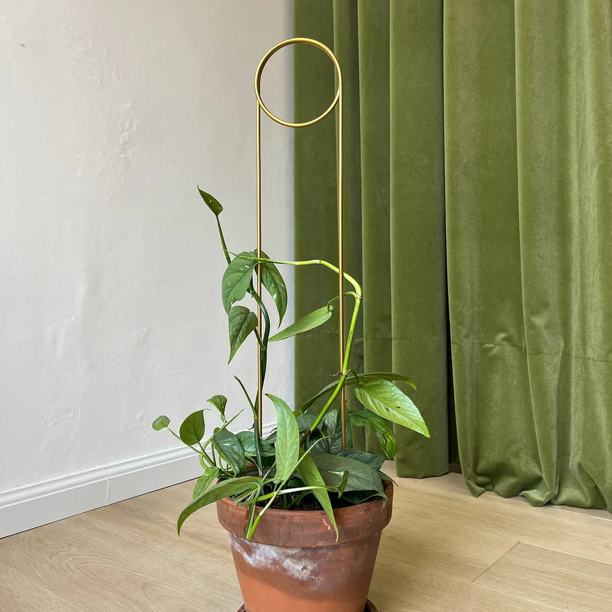 Golden Plant Stake - Pin