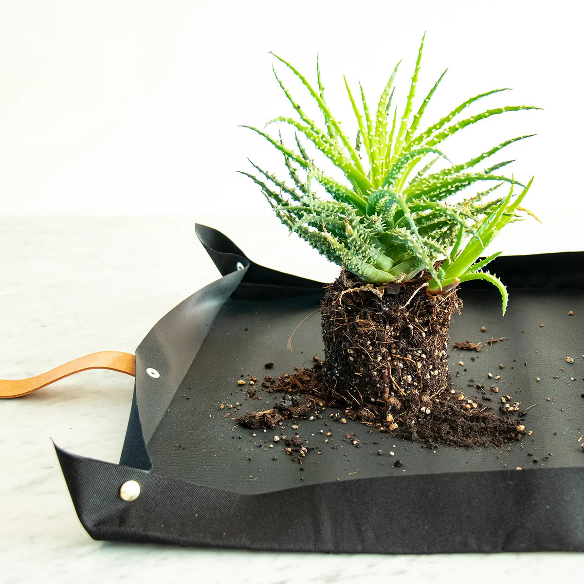Potting Tarp For Urban Gardening