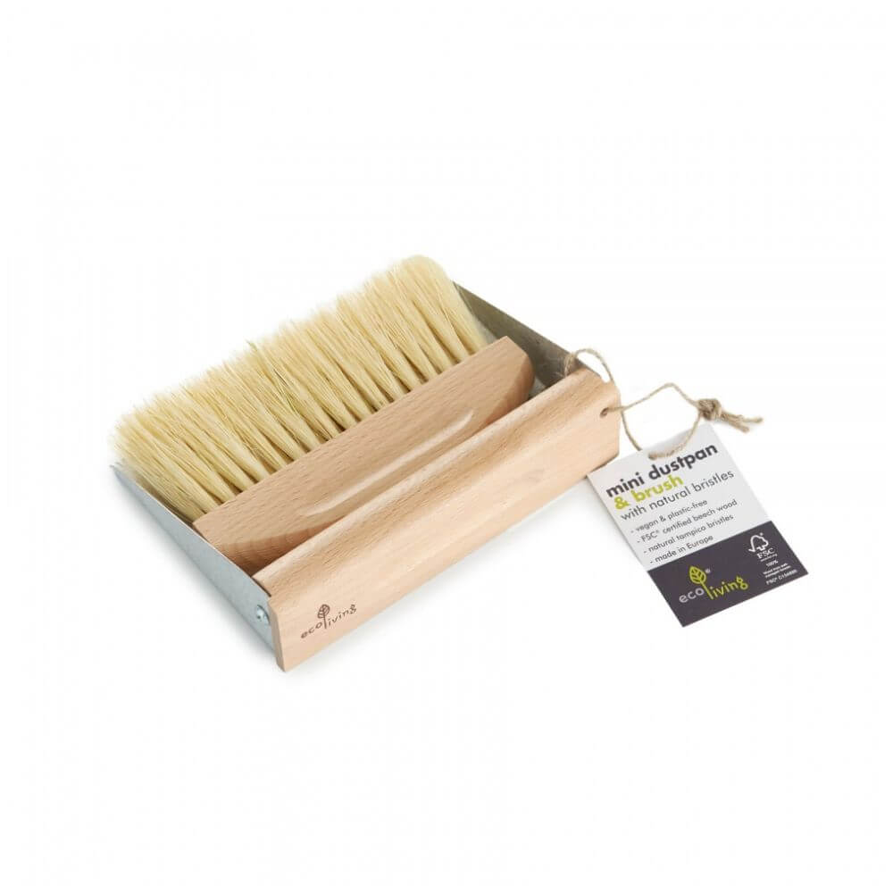 Mini Dustpan Set