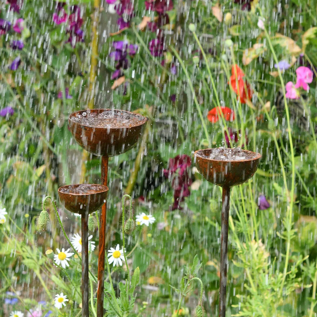 Rain Catcher | Plant Support