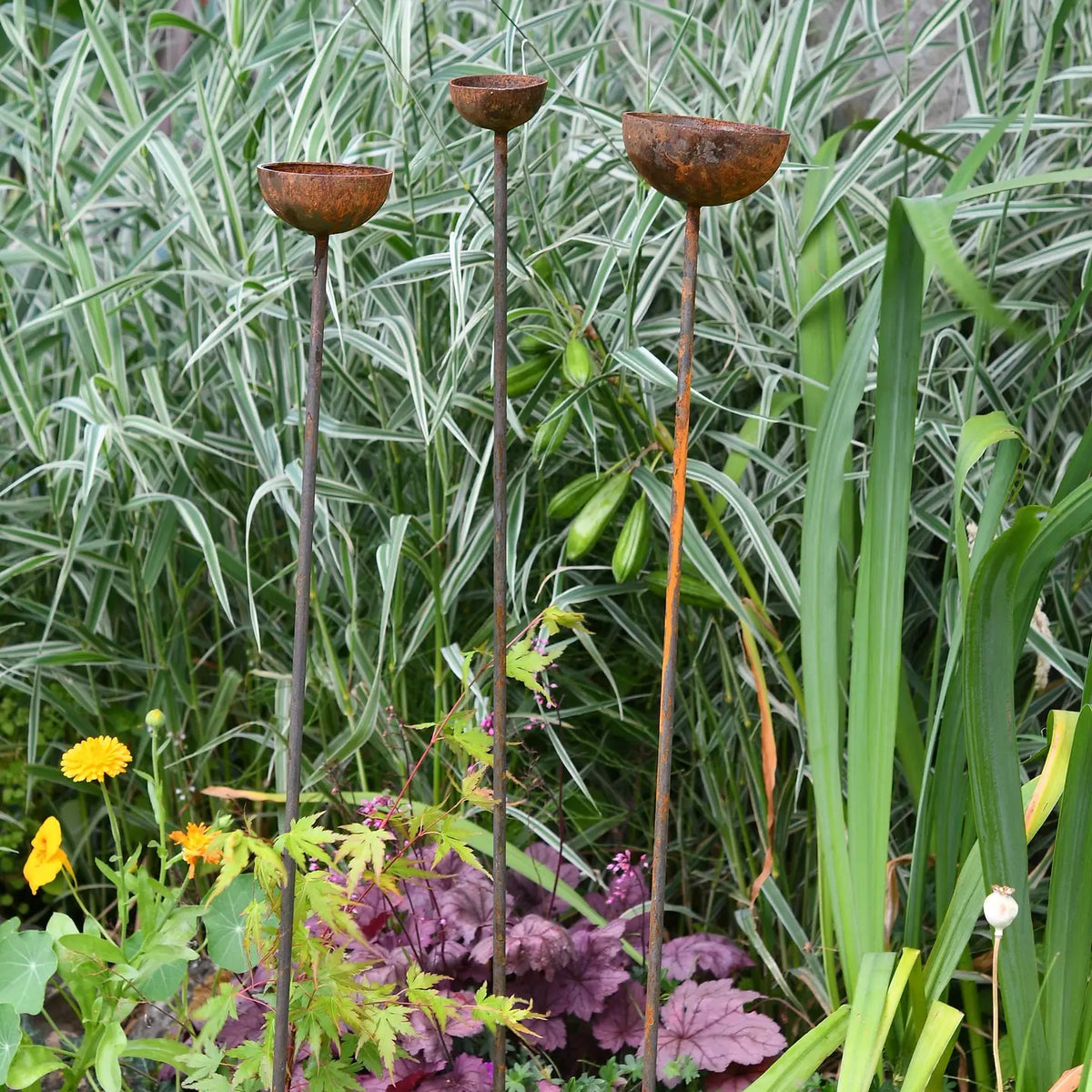 Rain Catcher | Plant Support