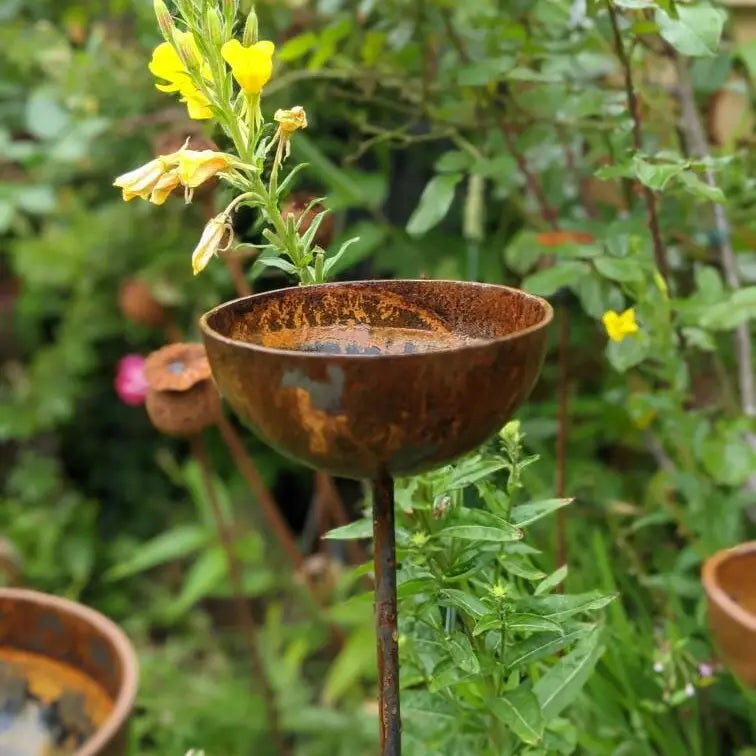 Rain Catcher | Plant Support