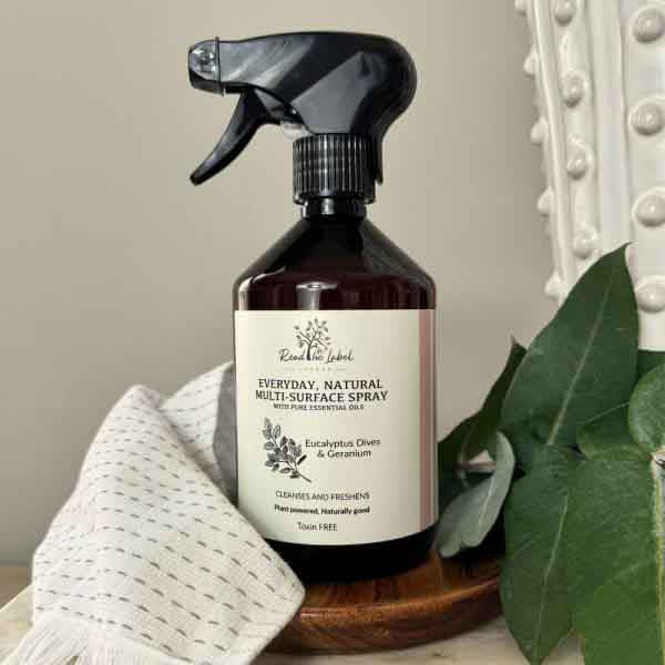 Multi Surface Cleaner