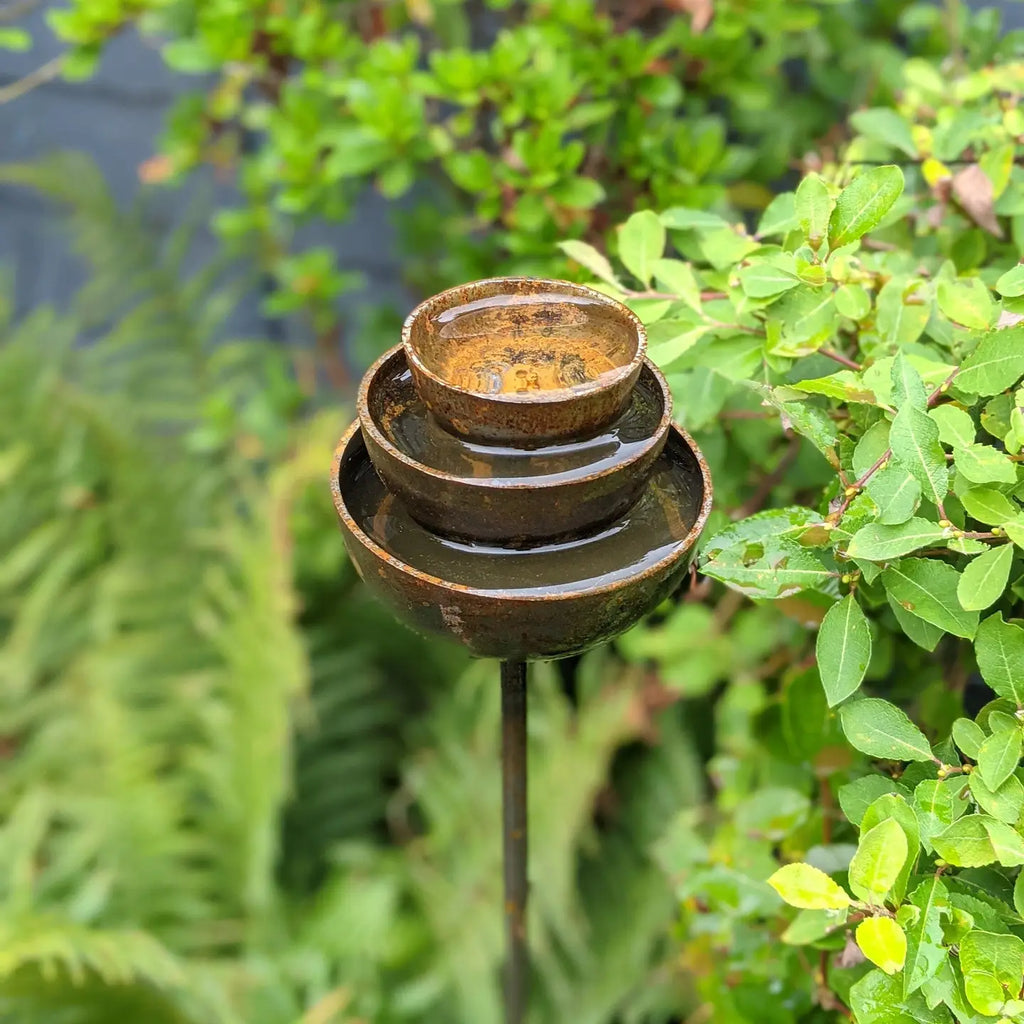 Rain Catcher Fountain