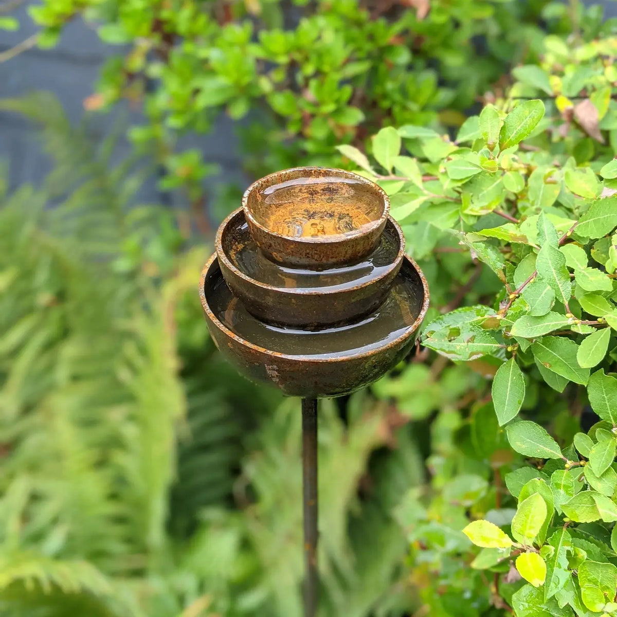 Rain Catcher Fountain