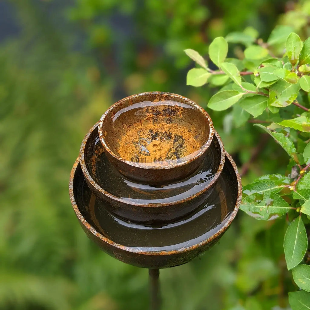 Rain Catcher Fountain